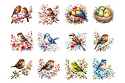 Watercolor Spring Floral Bird PNG, an Illustration by SinaCreation (Thumbnail 2 of 7)
