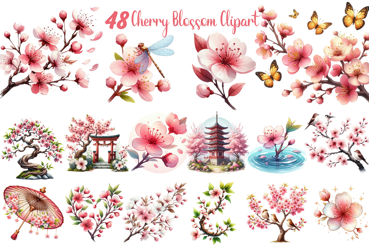 Japanese Cherry Blossom Clipart, an Illustration by DreamCafeArt (Photo 1 of 7)