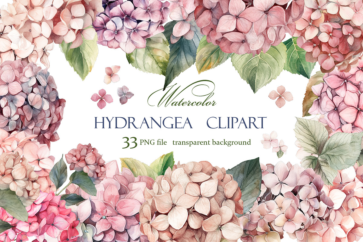 Hydrangea clipart, Watercolor floral, a Decorative Illustration by ElenazlataArt (Photo 1 of 7)