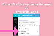 Absolute Blonde Typeface, a Serif Font by The GG Shop (Thumbnail 14 of 14)