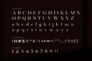 Jenif Elegant Serif Font, a Serif Font by Perfectype (Thumbnail 8 of 8)