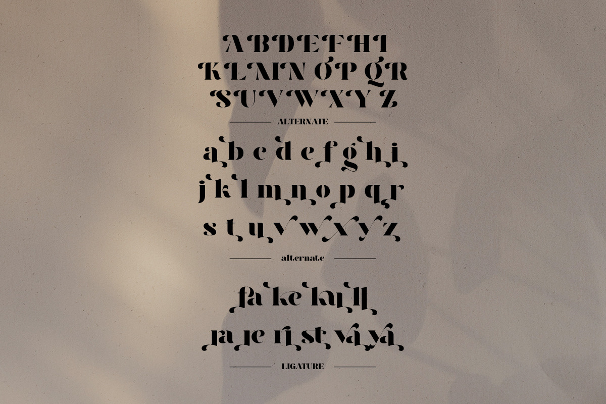 Faya | Stencil Modern Ligature, a Serif Font by ClevUs (Photo 11 of 11)
