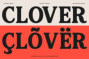 Pavalo Editorial Display Font, a Serif Font by Rasio Studio (Thumbnail 6 of 8)