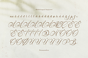 Van Marigella | Classic Calligraphy, a Script Font by Denustudios (Thumbnail 11 of 12)