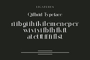 Qilbrid Modern Ligature Serif, a Serif Font by Alfinart (Thumbnail 10 of 10)