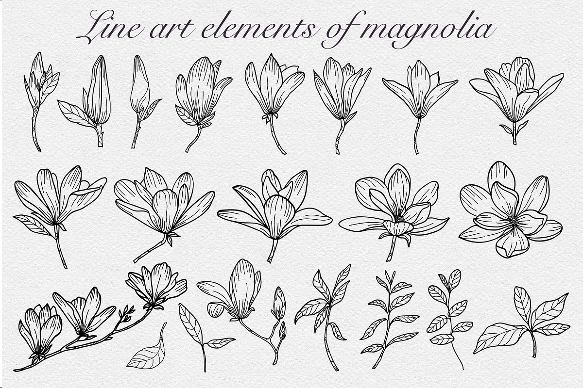 Magnolia SVG, an Object Graphic by mArtstore (Photo 2 of 6)