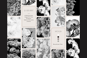 Moody Styled Floral Photography, a Wallpaper Photo by AM Studio