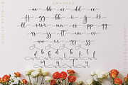 Oh Beloved Script, a Script Font by Nissa Studio (Thumbnail 12 of 12)