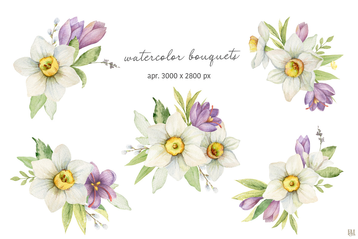 Watercolor Daffodils and Saffron, a Decorative Illustration by Elena Medvedeva (Photo 3 of 8)