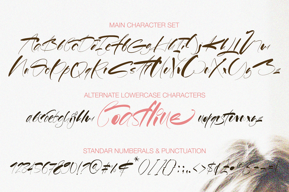 Coastline, a Script Font by Alcode (Photo 8 of 8)