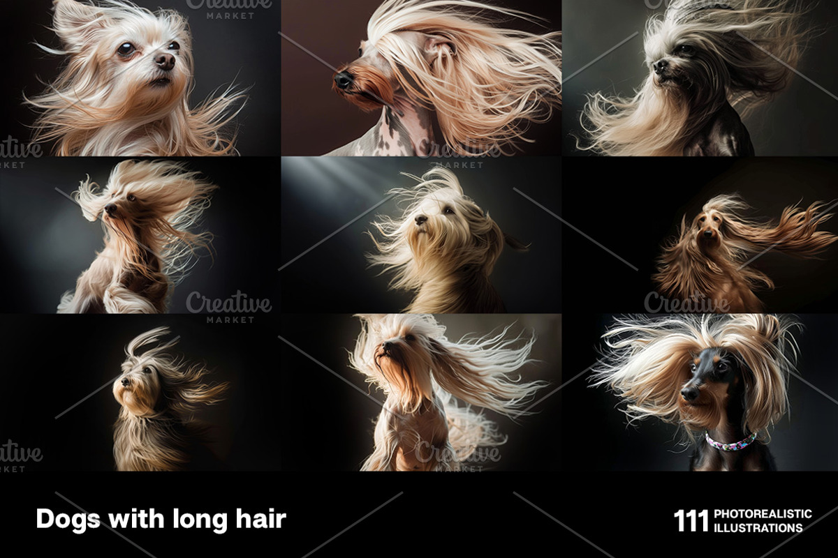 Dogs with long hair. 111 images, an Animal Photo by Handmadefont (Photo 6 of 15)