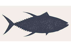 Gilt-head bream, fish, Dorado, an Animal Illustration by Foxys Graphic