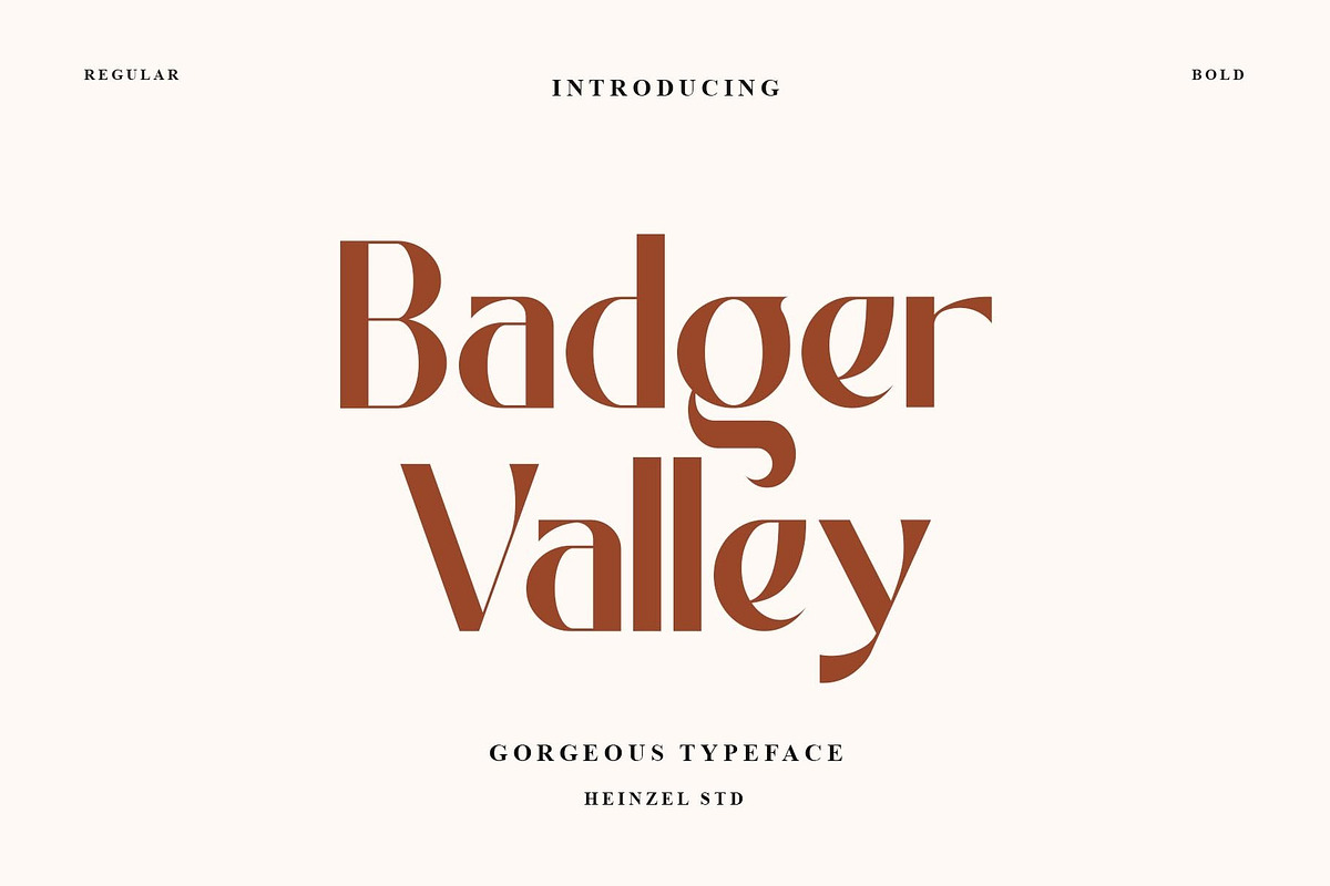 Badger Valley Modern Sans Serif, a Sans Serif Font by Heinzel Std (Photo 1 of 13)