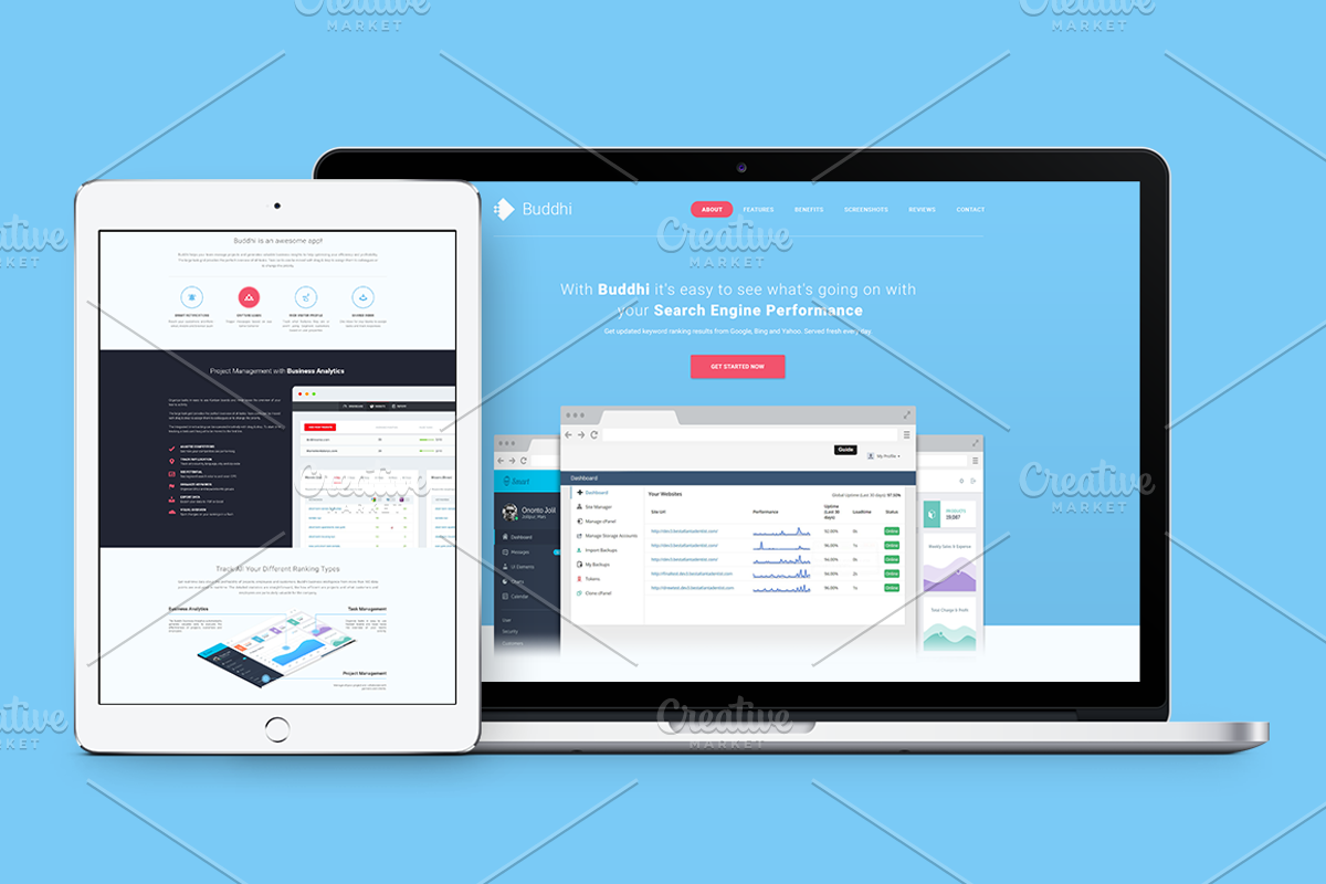 Buddhi - SaaS Landing Page PSD, an App Template by Pentaclay (Photo 2 of 8)