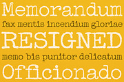 Office Memorandum Pro AOE, a Serif Font by Astigmatic (Thumbnail 3 of 4)