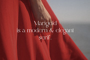 Marigold - Modern Serif, a Serif Font by Mikhail Kitsune (Thumbnail 2 of 9)