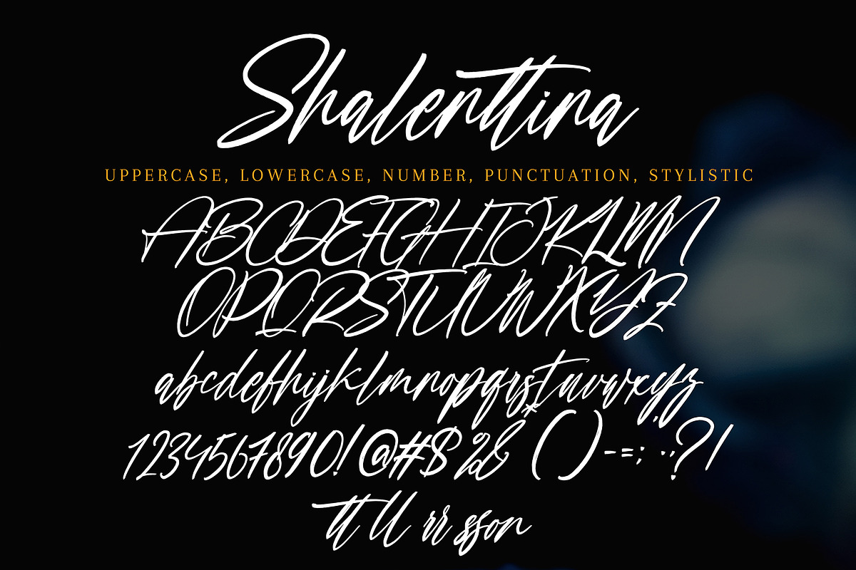 Shalenttina, a Handwritten Font by pineungtype (Photo 7 of 7)