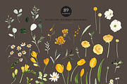 Watercolor Flower - Soft Yellow, an Illustration by Beigetime (Thumbnail 3 of 11)