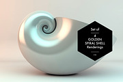 Golden Spiral Shell Set, a Graphic by helloSG (Thumbnail 3 of 4)