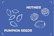 NUTS LINE ART SET (15+ elements), a Food Illustration by Bonfloret Studio (Thumbnail 9 of 10)