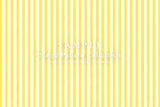 Stripe Pattern Collection – 15 Sheet, a Pattern Graphic by NOMO DESIGN (Thumbnail 5 of 16)