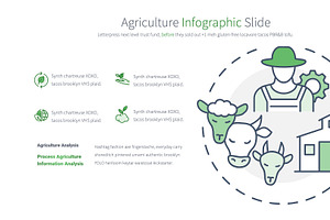 Agriculture PowerPoint Infographic