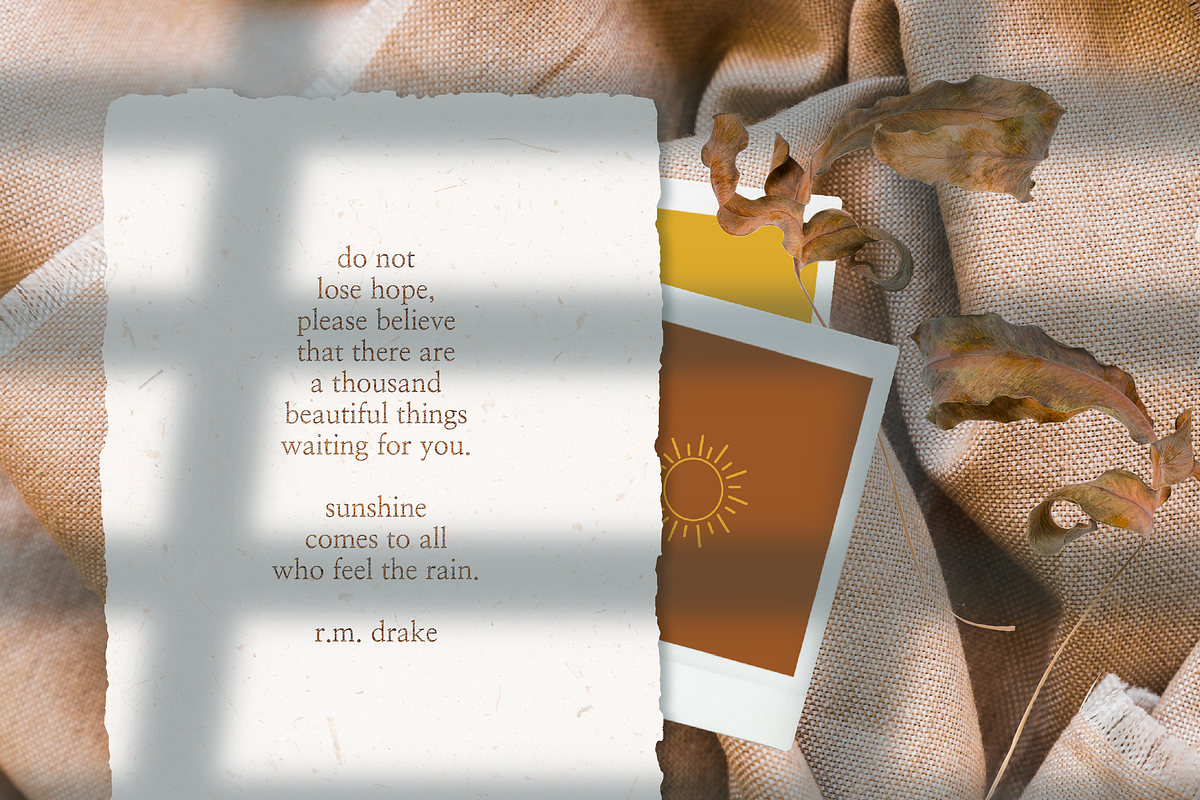 Wild Shadow Overlays for Procreate, a Brush Add-On by OkayAnnie Designs (Photo 5 of 9)
