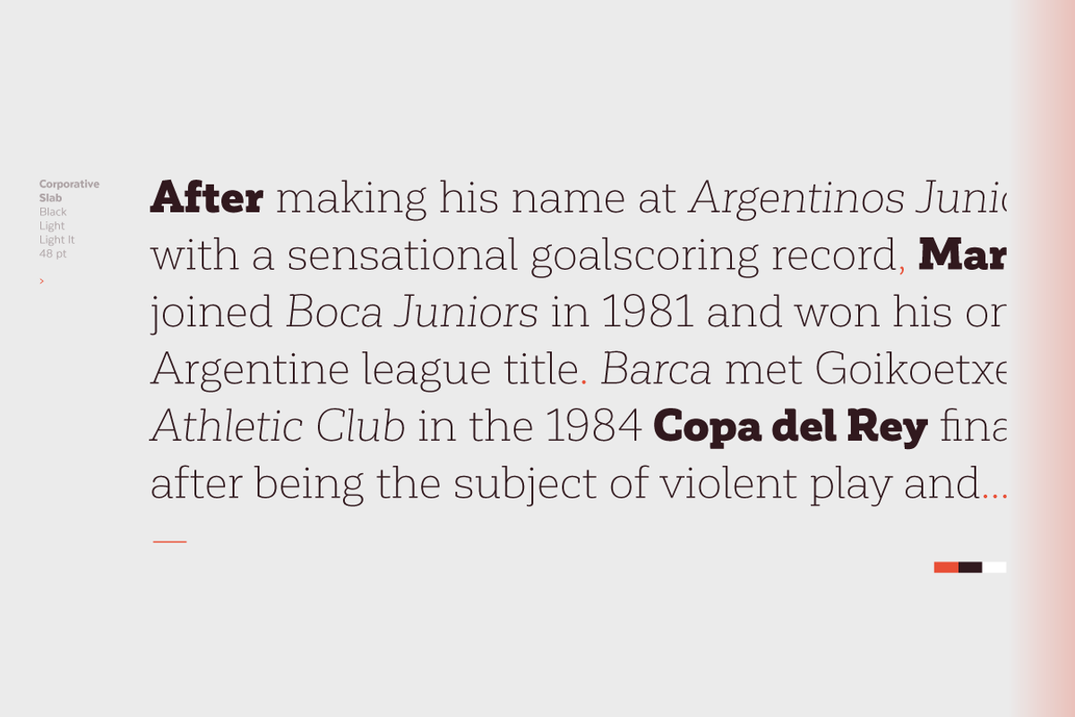 Corporative Slab - Family 50% off, a Slab Serif Font by Latinotype (Photo 14 of 15)