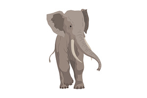 Flat vector elephant in poses, an Animal Illustration by the8monkey