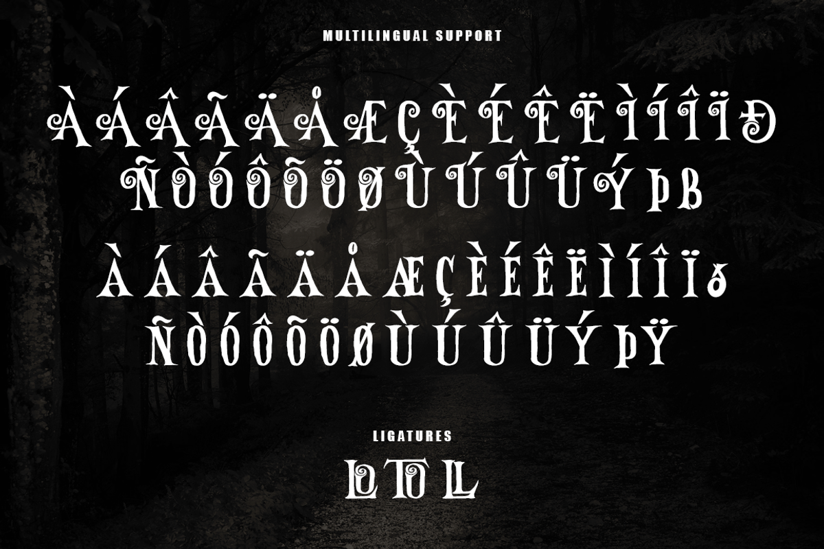 Home Alone - Absonstype, a Blackletter Font by Absonstype (Photo 5 of 7)