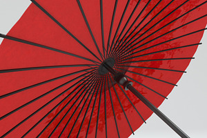 Japanese Umbrella