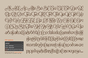 Flourel, a Script Font by Gleb Guralnyk (Thumbnail 11 of 11)