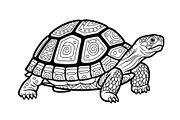 Turtle Line Art Illustration Bundle, an Illustration by Creativeshirt (Thumbnail 13 of 48)