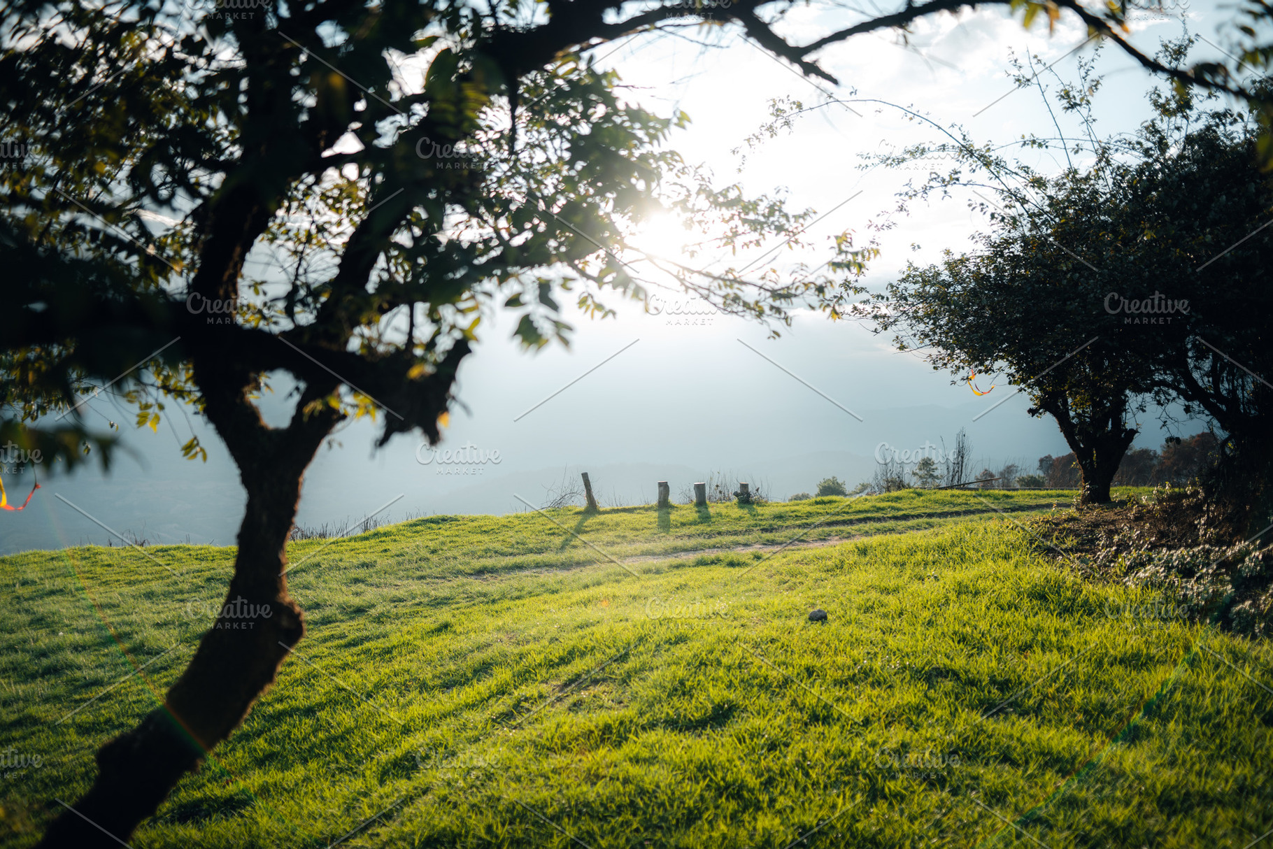 Green fields on the mountains in summer, a Nature Photo by Art Rachen