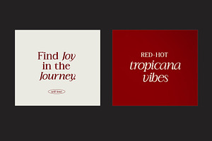 Classy Typeface - Timeless Elegance