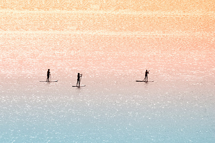 Standup paddle surfers