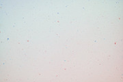 Snowfall textures and overlays, a Nature Photo by pictures for you (Thumbnail 11 of 15)