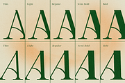 Stella Aesta - 10 Butterfly Font, a Serif Font by Dharmas Foundry (Thumbnail 8 of 17)