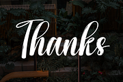 Rooftop Garden | Script Font, a Handwritten Font by Scratchones (Thumbnail 9 of 9)