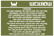 Micro expression font, a Slab Serif Font by weknow (Thumbnail 6 of 8)