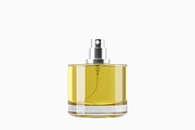 50ml Perfume Glass Bottle 3D Model, an Object 3D Model by Akebareee (Thumbnail 7 of 11)