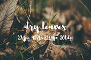 Dry leaves, a Templates & Theme by ApertureVintage (Thumbnail 15 of 16)