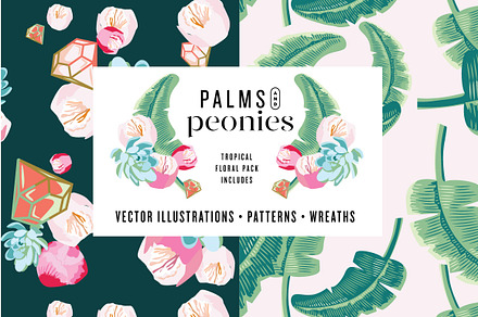 SALE! Palm Succulent Illustrations