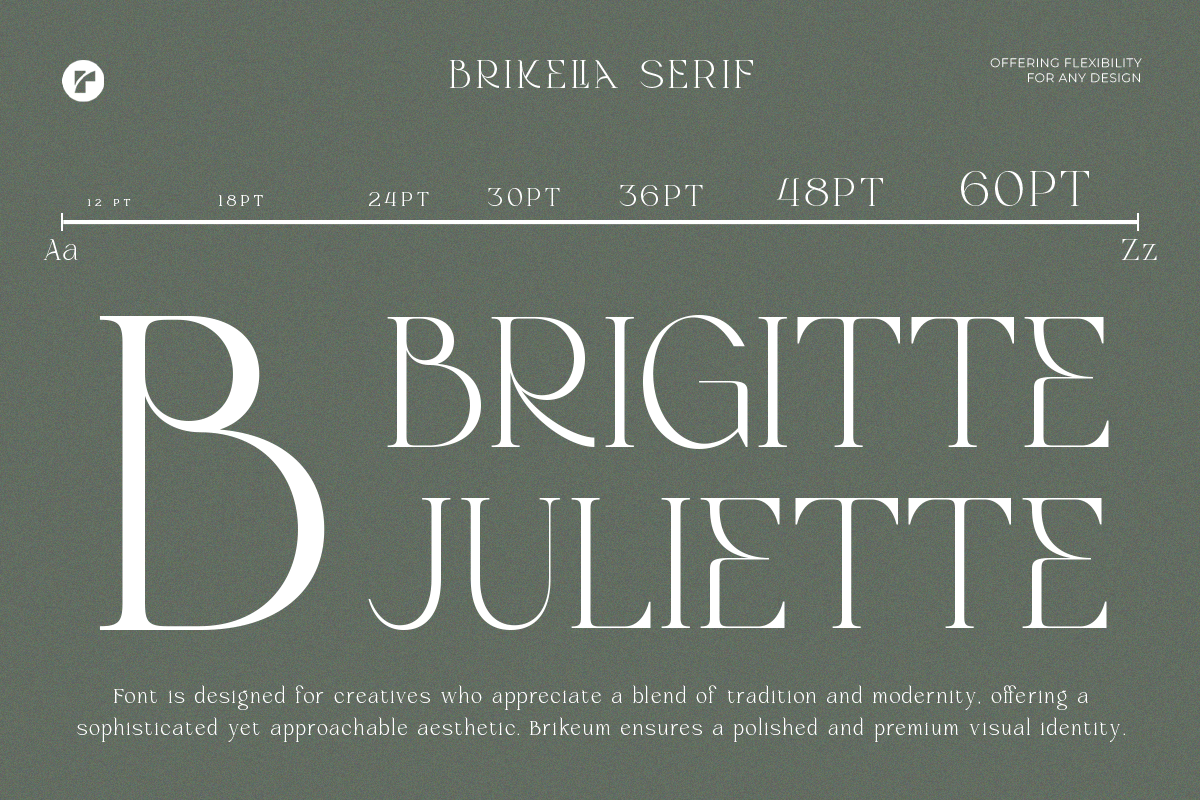 Brikelia Minimalist Fashionable Font, a Serif Font by roomspace creative lab (Photo 10 of 12)