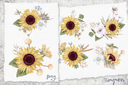 Watercolor Sunflowers and Cotton, an Illustration by Yuliya Art (Thumbnail 19 of 24)