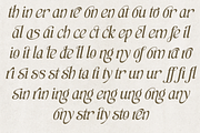 Levany - Serif Font, a Serif Font by NDNL Studio (Thumbnail 9 of 9)