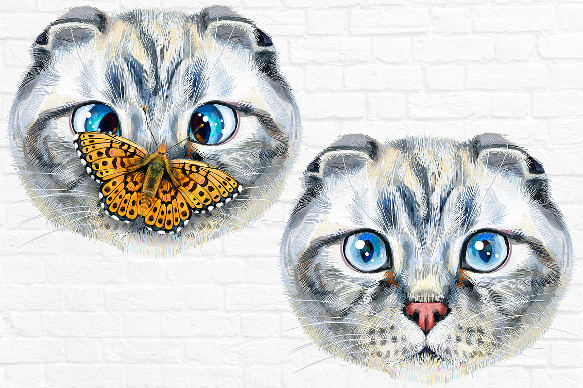 Portraits of scottish fold cat, an Animal Illustration by Watercolor fantasy (Photo 2 of 6)