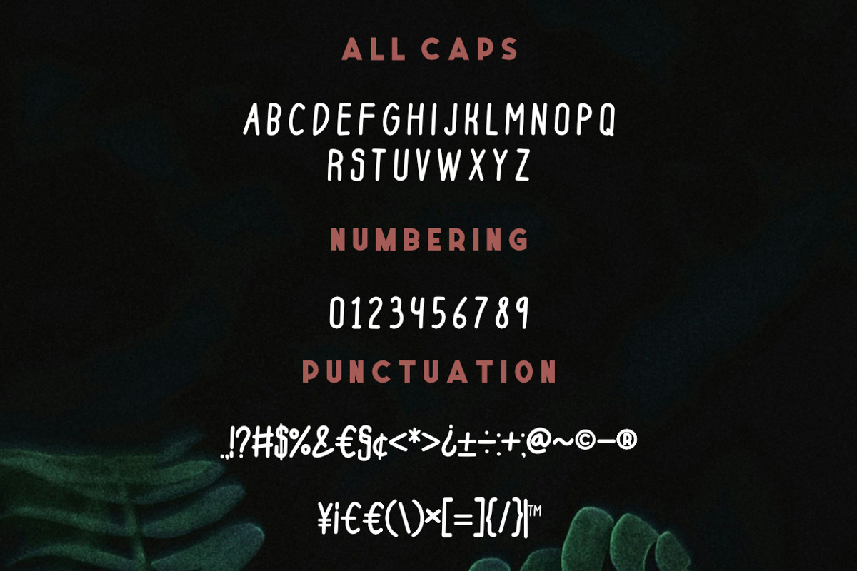 Quokky Condensed Font, a Sans Serif Font by Bayuktx (Photo 5 of 6)