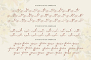 Chetta Money Typeface, a Script Font by alit design (Thumbnail 9 of 17)