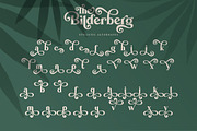 Bilderberg | Luxury Bold Serif, a Serif Font by Almeera Std (Thumbnail 17 of 25)